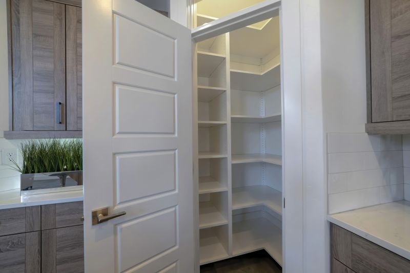 Modern Pantry Installations